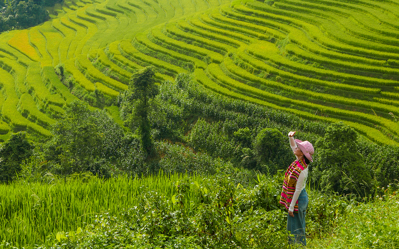 Một góc ruộng bậc thang ở Nậm Than.