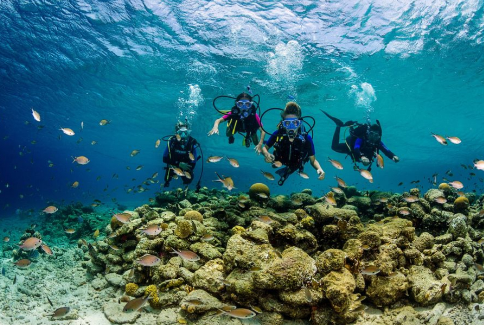 Du khách lặn biển tại Bonaire. Ảnh: Tourism Corporation Bonaire