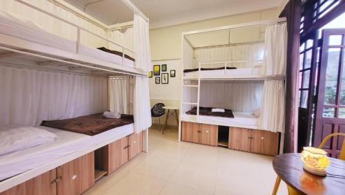 Bed in 8-Bed Mixed Dormitory Room