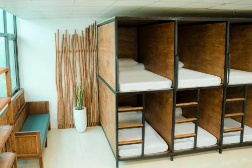 Bunk Bed in Mixed Dormitory Room