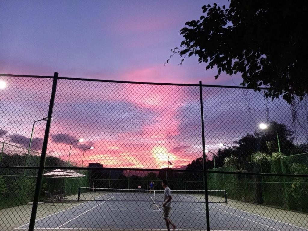 Tennis court