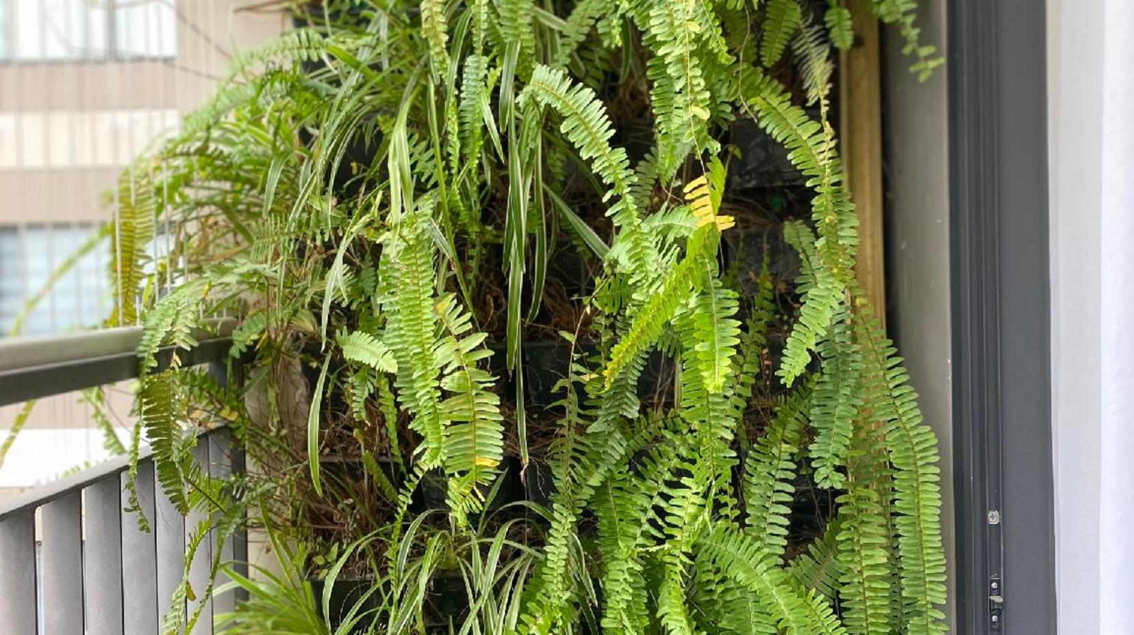 Balcony/terrace