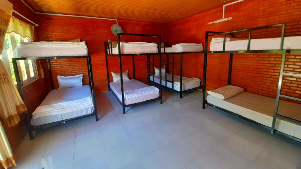 8-Bed Mixed Dormitory Room