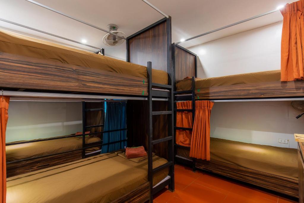 Bunk Bed in Mixed Dormitory Room