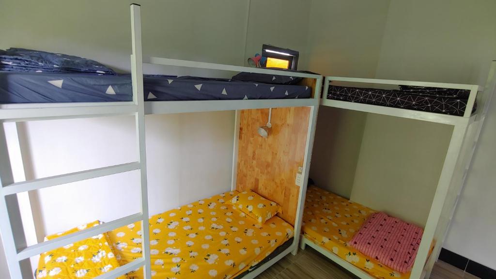 Bed in 4-Bed Dormitory Room