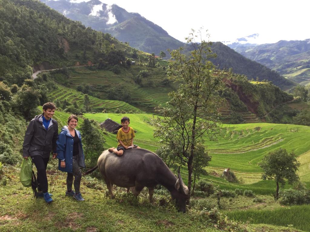 Horseback riding