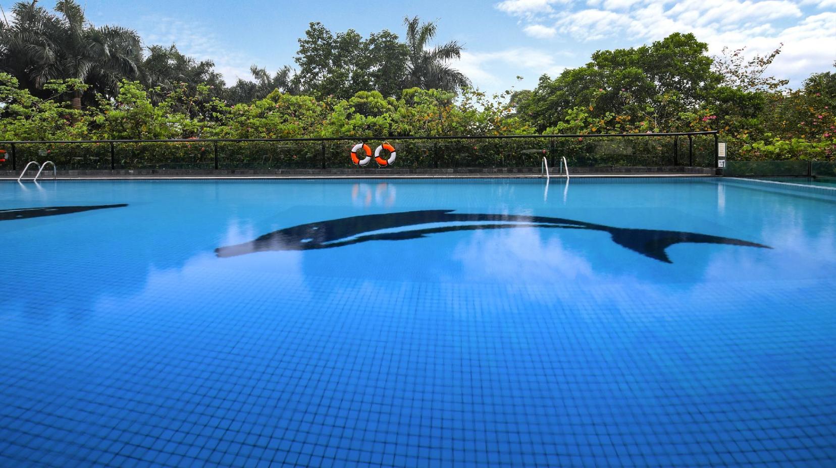 Swimming pool [outdoor]