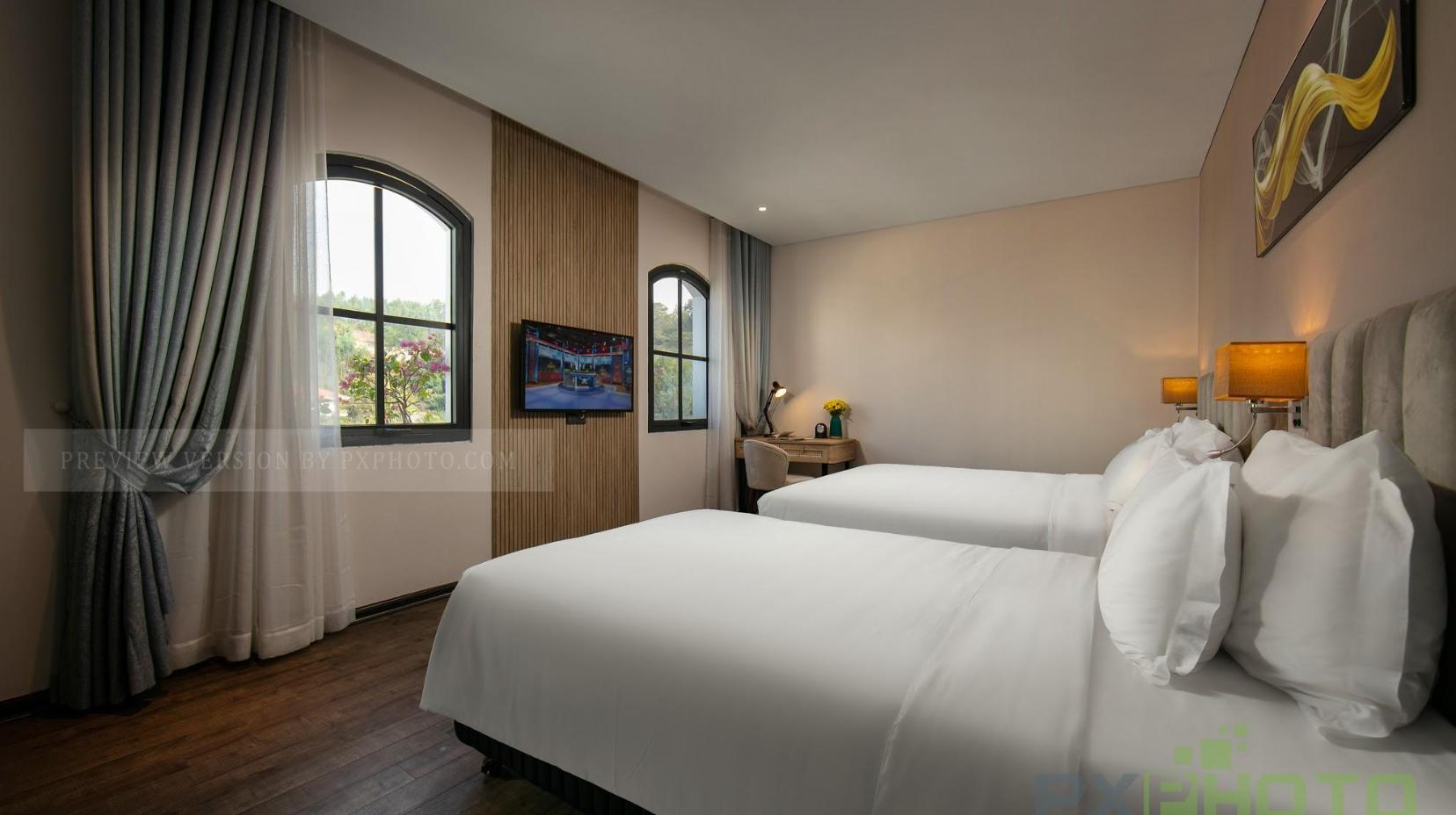 Deluxe Twin Room - View