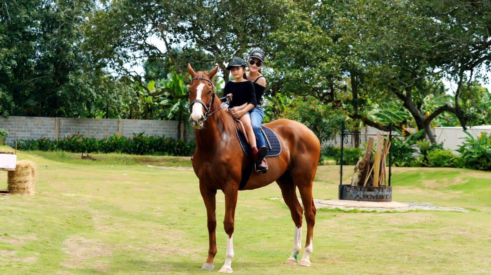 Horseback riding