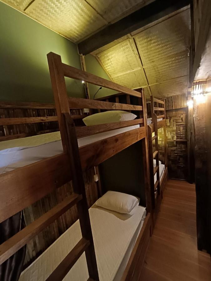 Bunk Bed in Mixed Dormitory Room