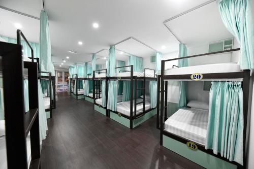 Bunk Bed in Mixed Dormitory Room