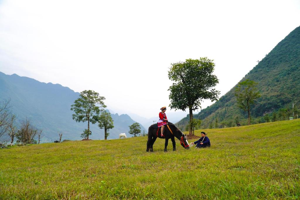 Horseback riding