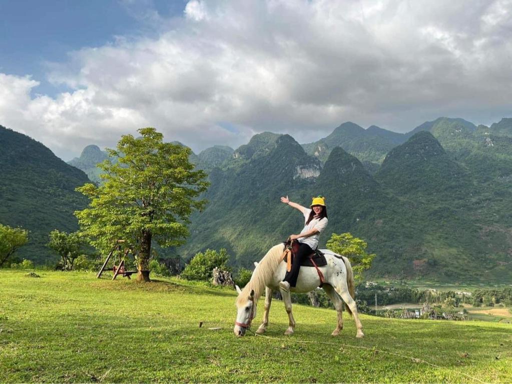 Horseback riding