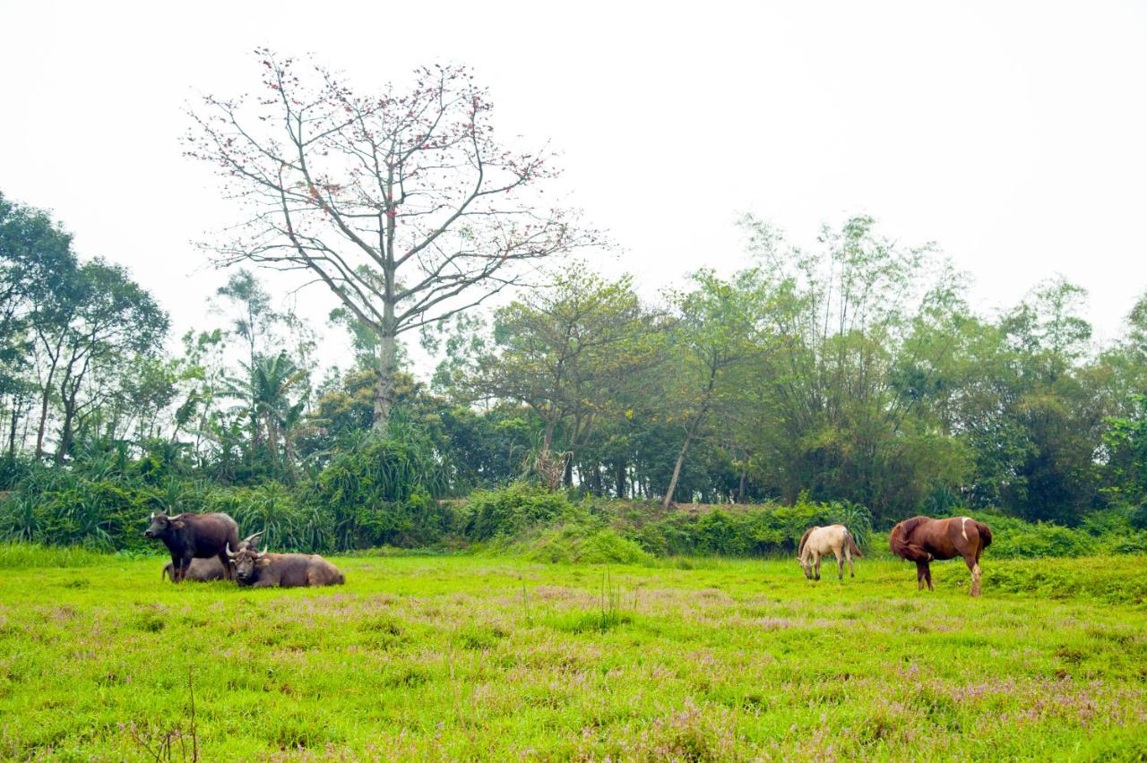 Surrounding environment