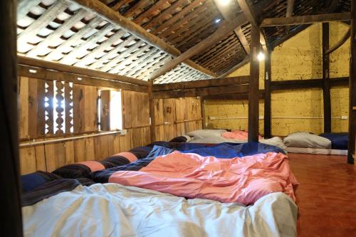 Single Bed in Mixed Dormitory Room