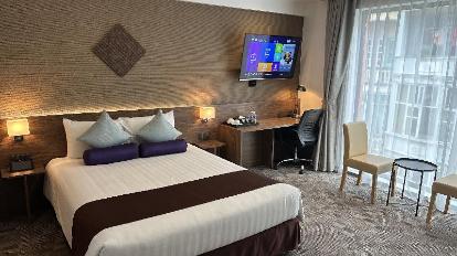 Executive Double Room - Guestroom