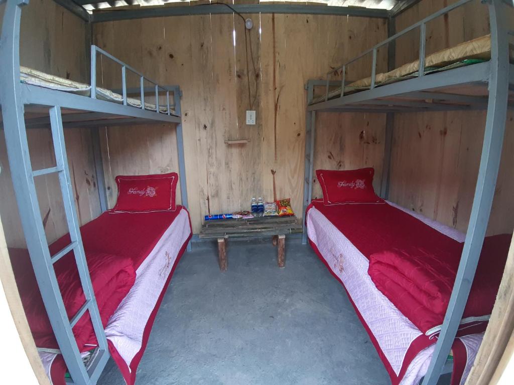 Bunk Bed in Mixed Dormitory Room