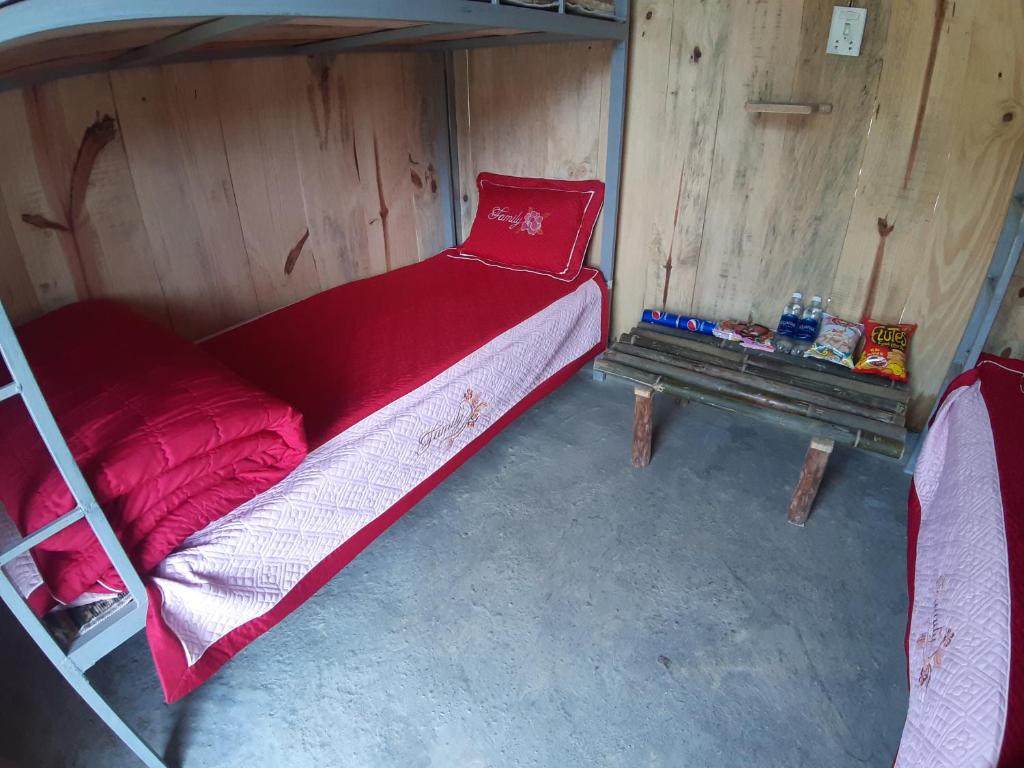 Bunk Bed in Mixed Dormitory Room