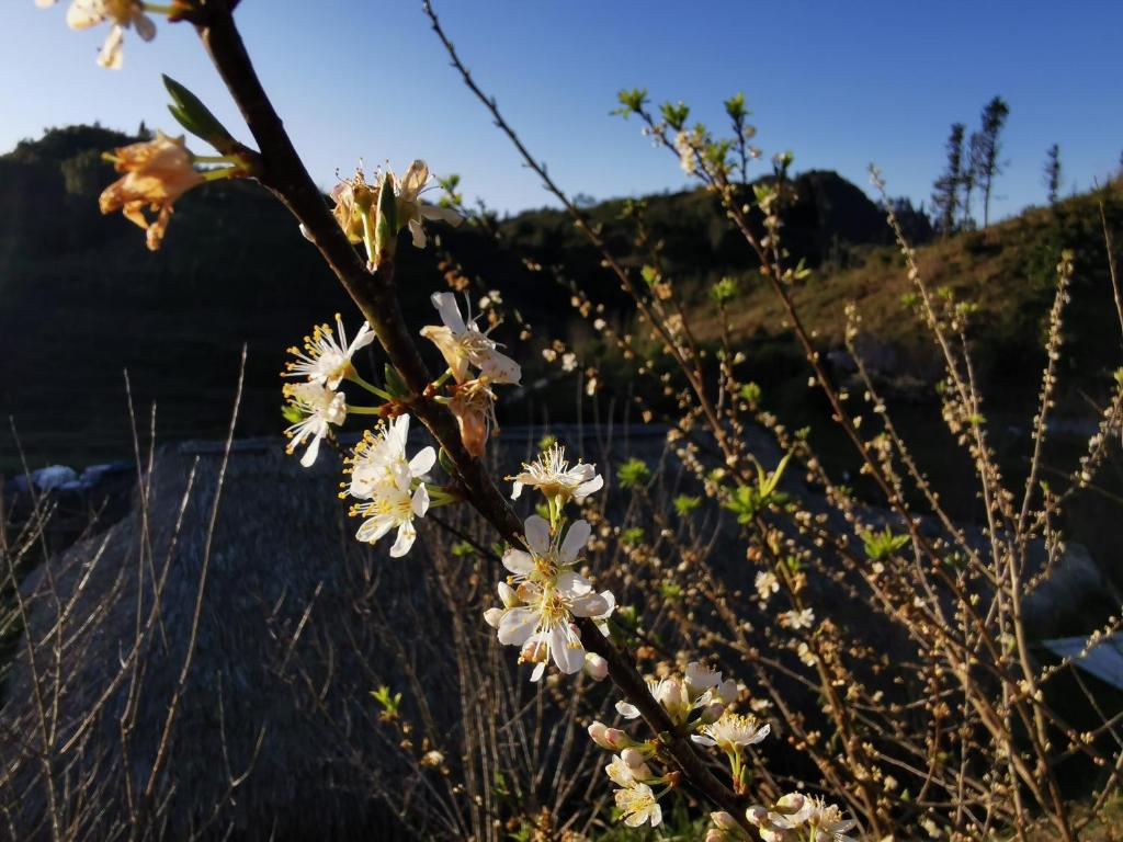 Surrounding environment