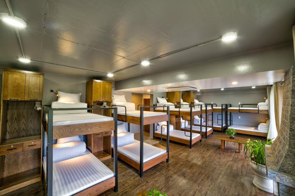 Bunk Bed in Mixed Dormitory Room