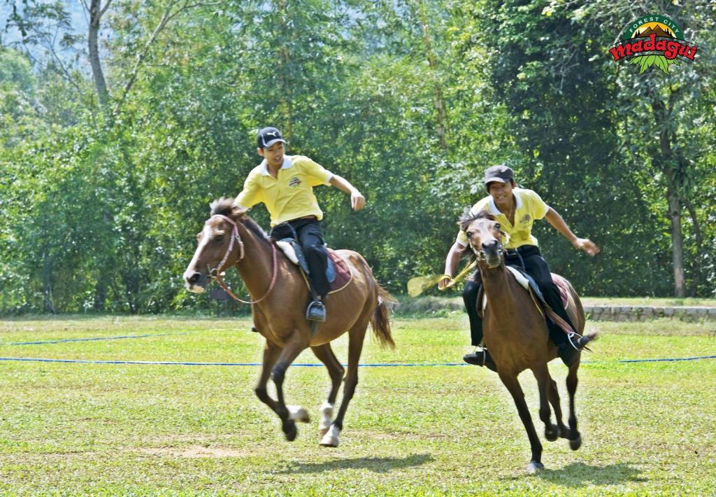 Horseback riding