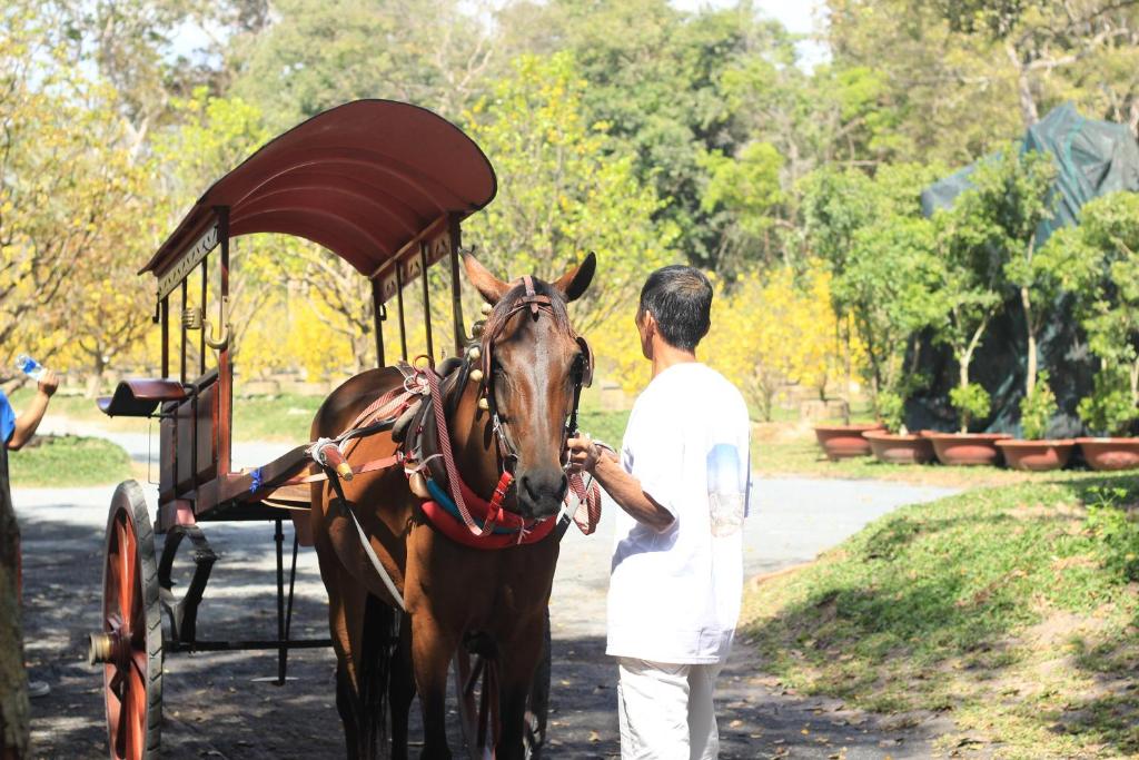 Horseback riding