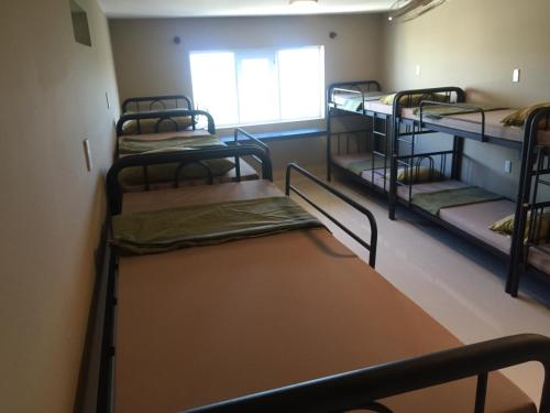 Bed in 6-Bed Mixed Dormitory Room