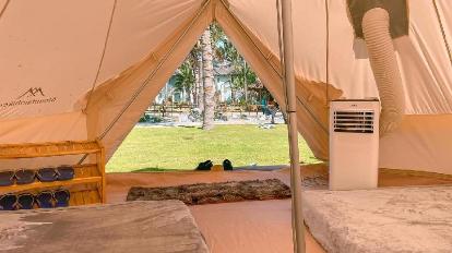 Tent on Half Board - Guestroom