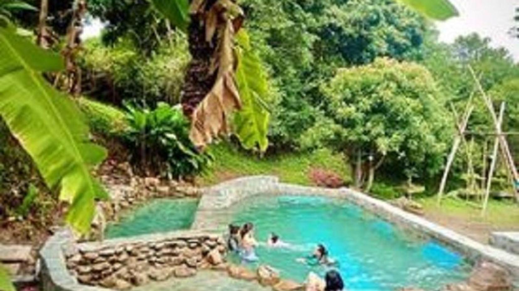 Swimming pool [outdoor]