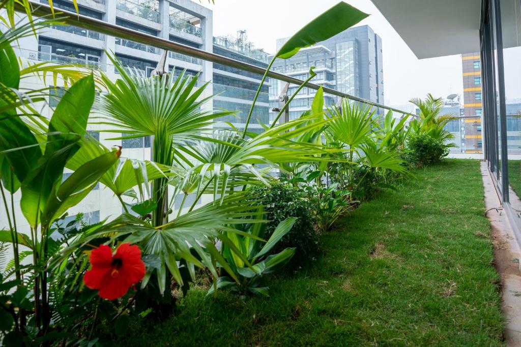 Balcony/terrace