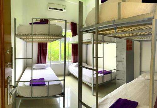 Bed in 6-Bed Mixed Dormitory Room