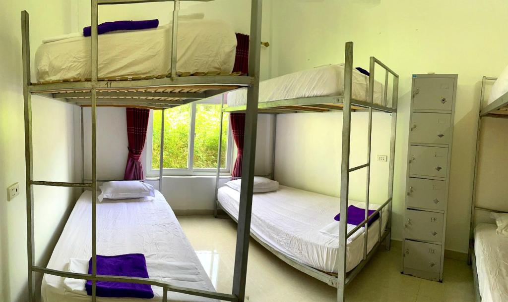 Bed in 6-Bed Mixed Dormitory Room