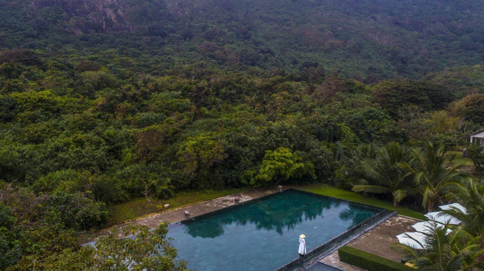 Swimming pool [outdoor]