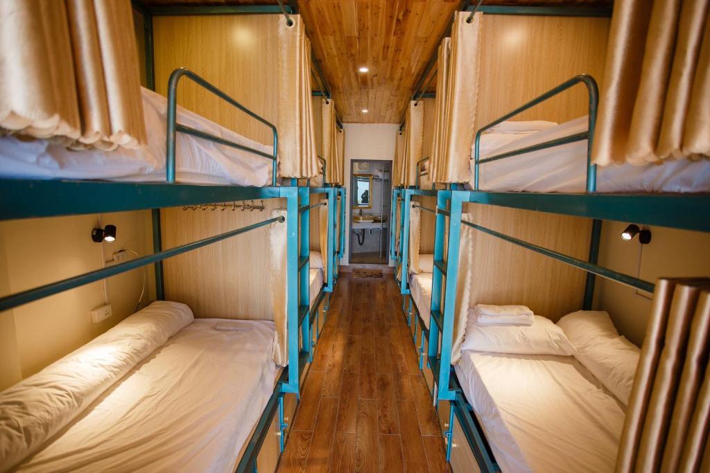 Bunk Bed in Mixed Dormitory Room