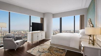 Executive Suite, 1 King, Skyline view - View