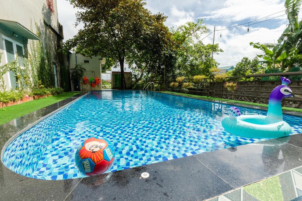 Swimming pool