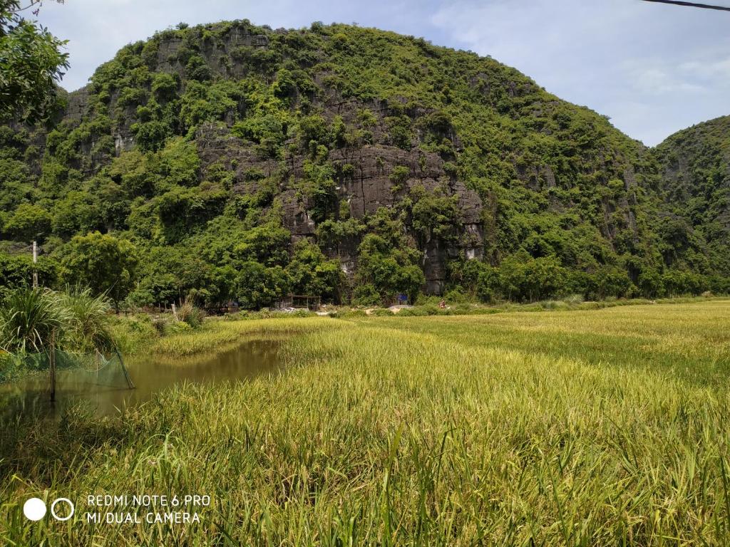 Surrounding environment