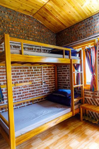 Bunk Bed in Mixed Dormitory Room