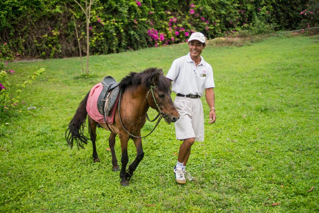 Horseback riding