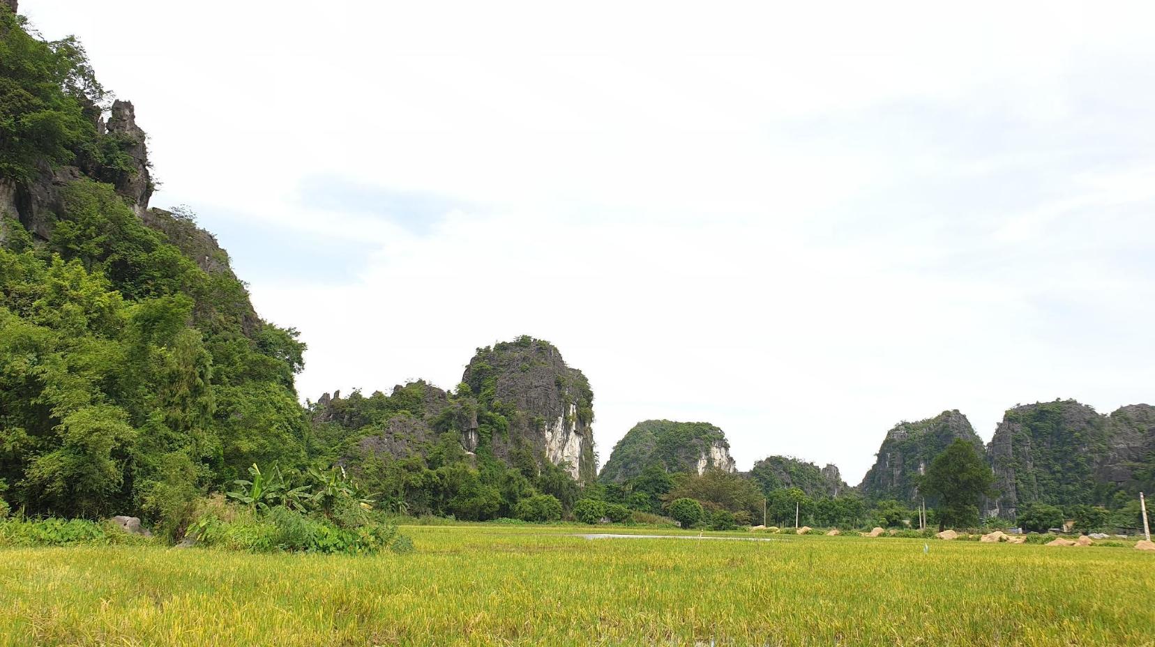 Bungalow for 3 People - View