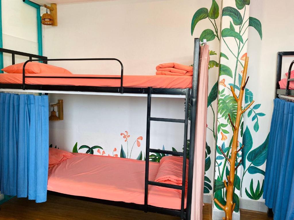 6-Bed Mixed Dormitory Room